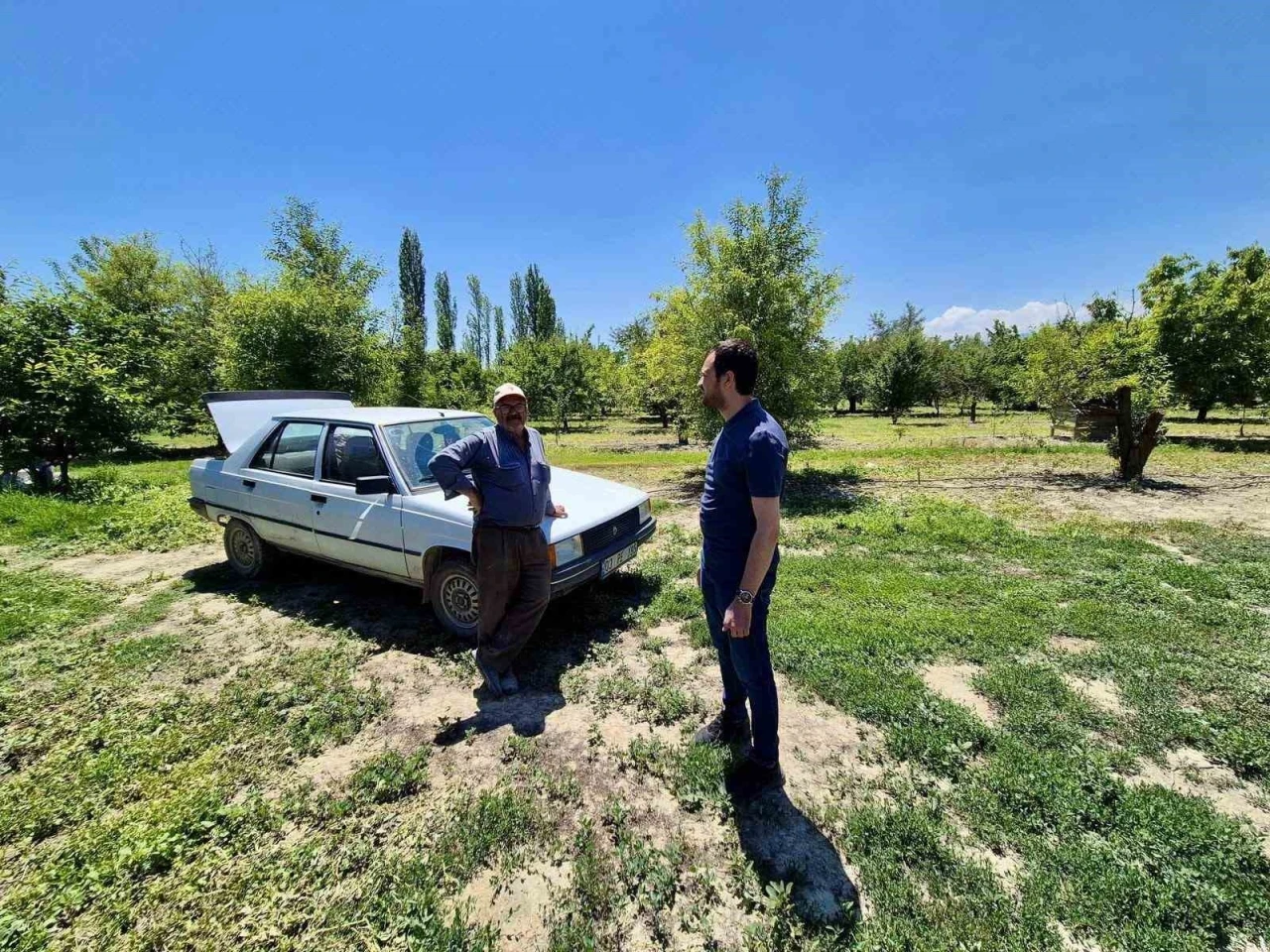 Bitkisel &uuml;retim alanlarında kontroller s&uuml;r&uuml;yor
