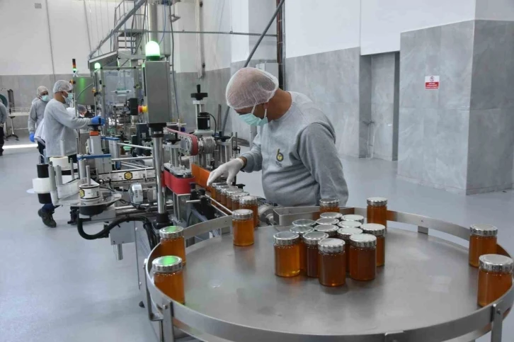 Bitlis balı, se&ccedil;kin marketlerin raflarında yerini alacak
