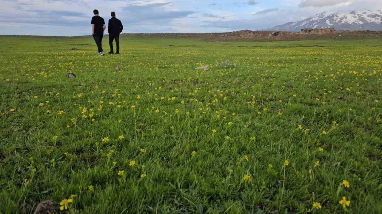 Bitlis’in saklı güzellikleri: Cil Gölü ve Sütey Yaylası
