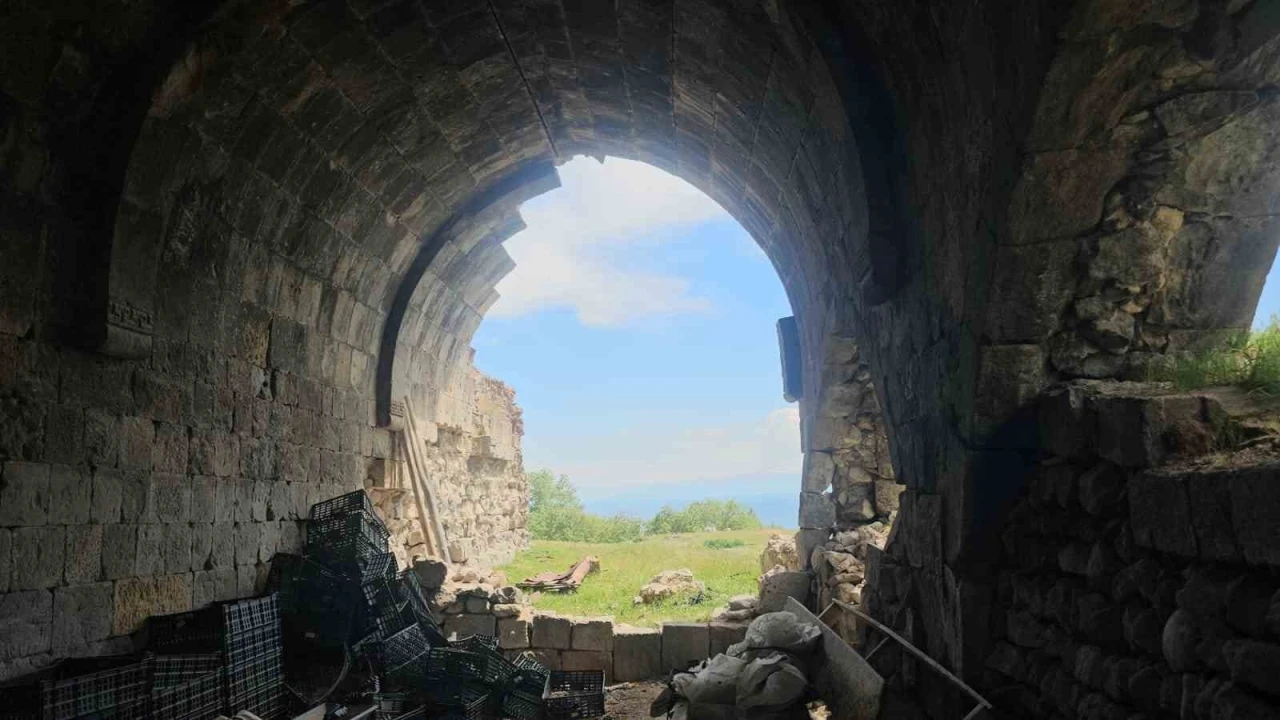 Bitlis’in tarihi mirası sessizce yok oluyor: Lale 