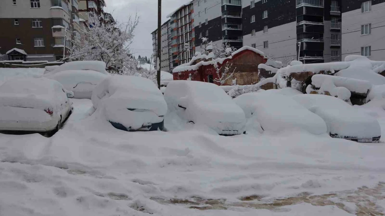Bitlis&rsquo;te arabalar ve tek katlı evler kara g&ouml;m&uuml;ld&uuml;
