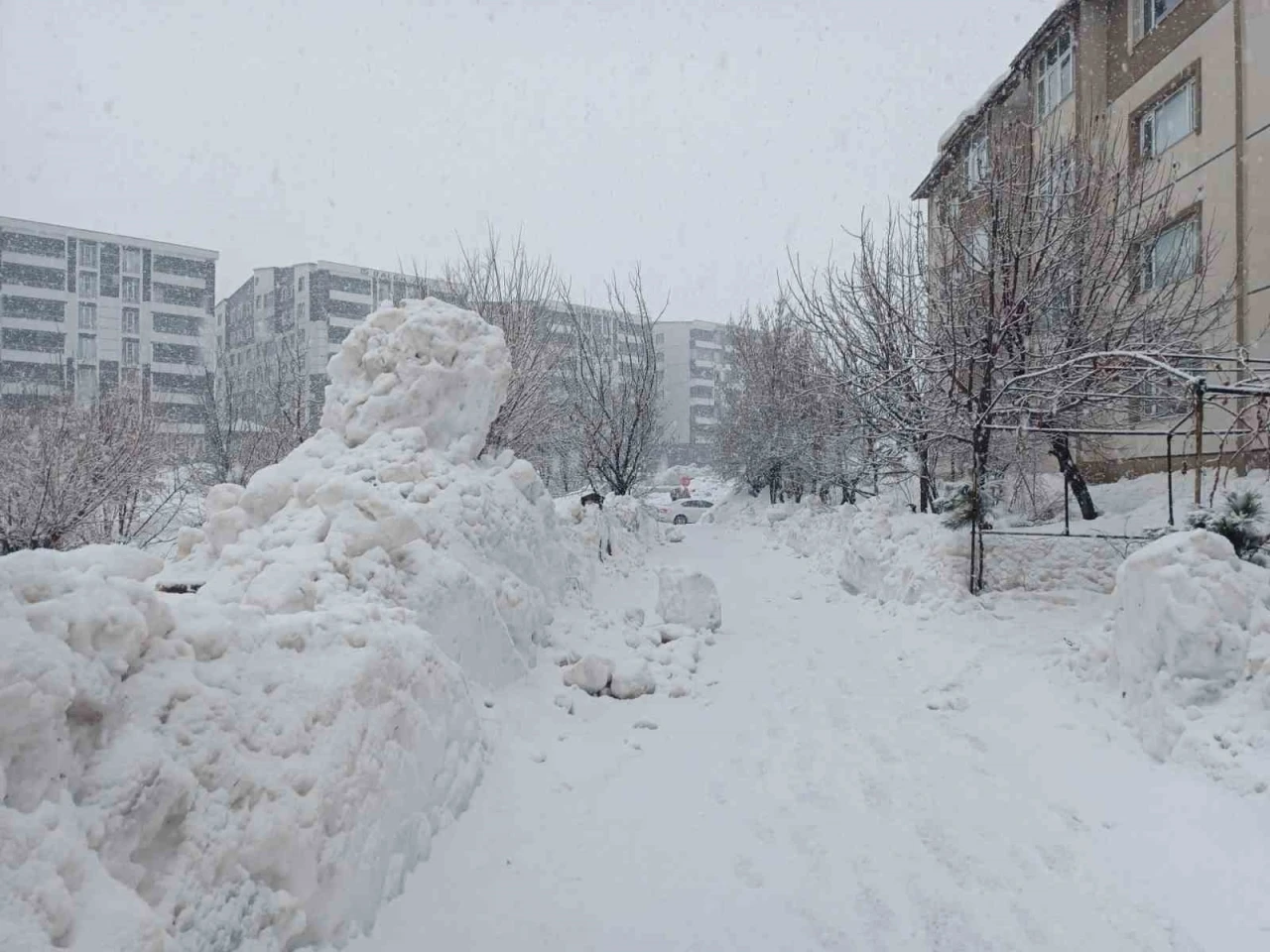 Bitlis&rsquo;te kar yağışı yeniden etkili olmaya başladı
