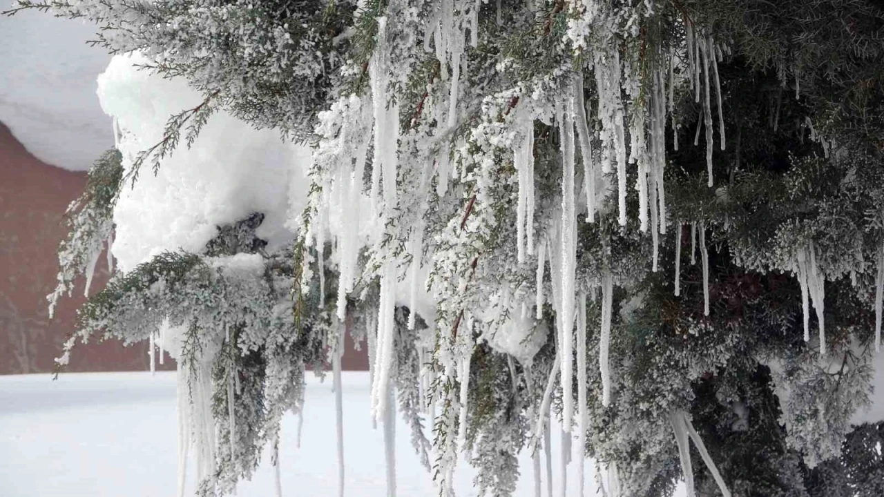 Bitlis&rsquo;te karla m&uuml;cadeleye rekor yakıt harcaması
