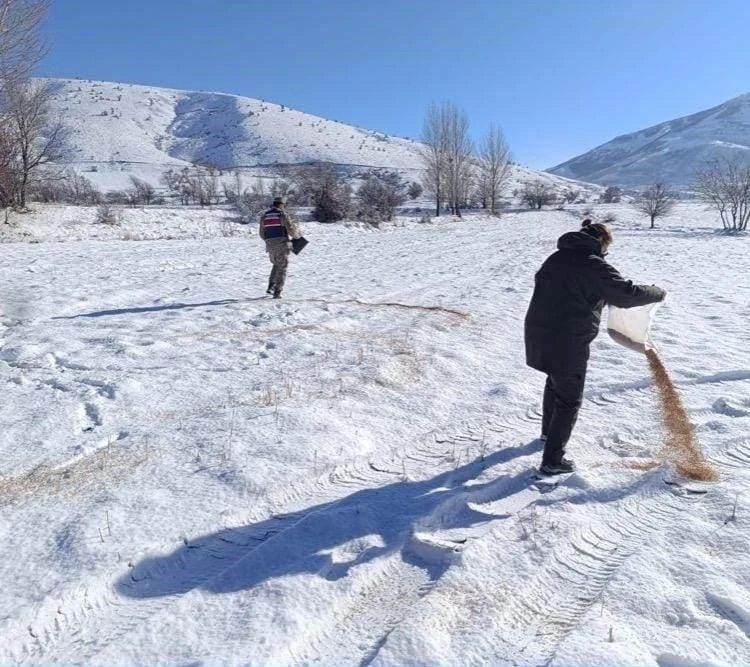 Bitlis’te yaban hayvanları için doğaya yem bırakıldı