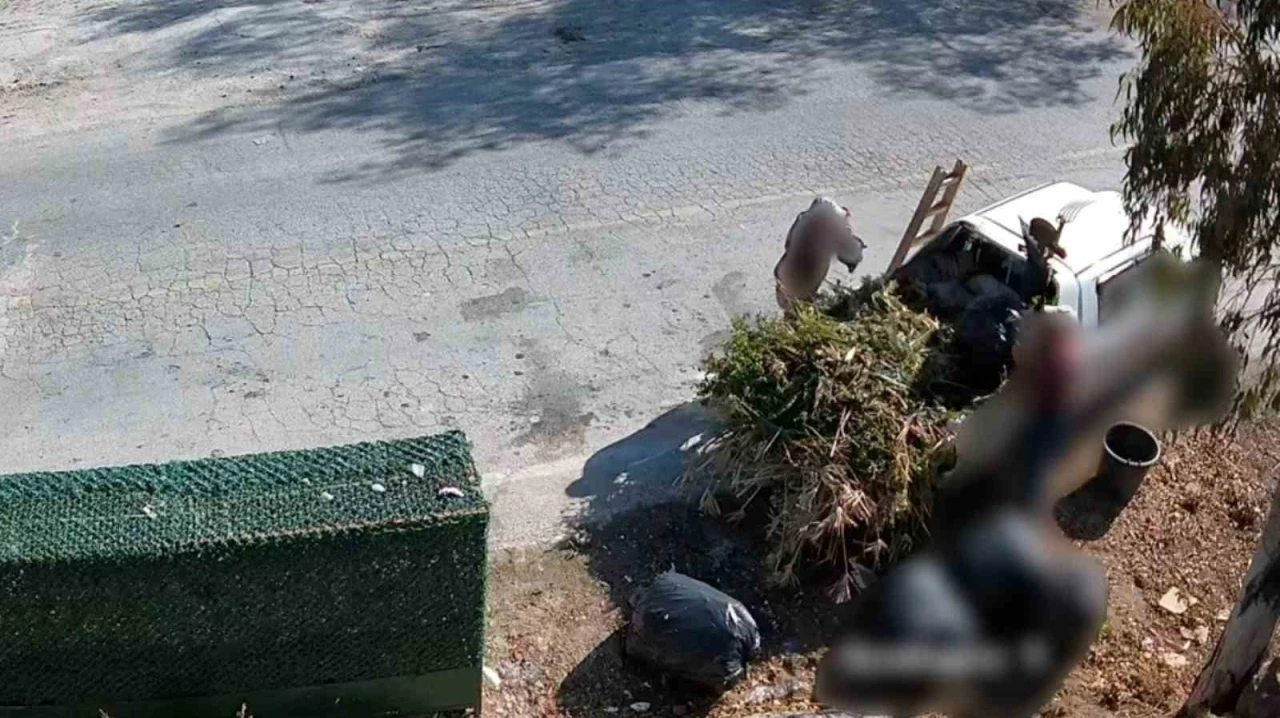 Bodrum’da çevreyi kirletenler belediye kamerasına yakalandı
