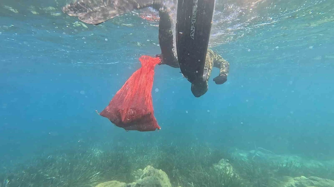 Bodrum’da deniz dibi temizliği başladı
