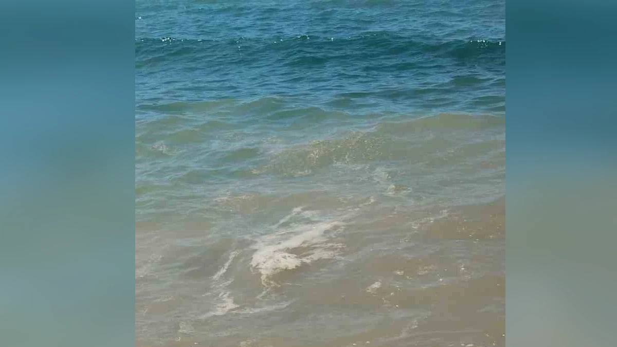 Bodrum'da Deniz Kirliliğine Başsavcılık Soruşturması