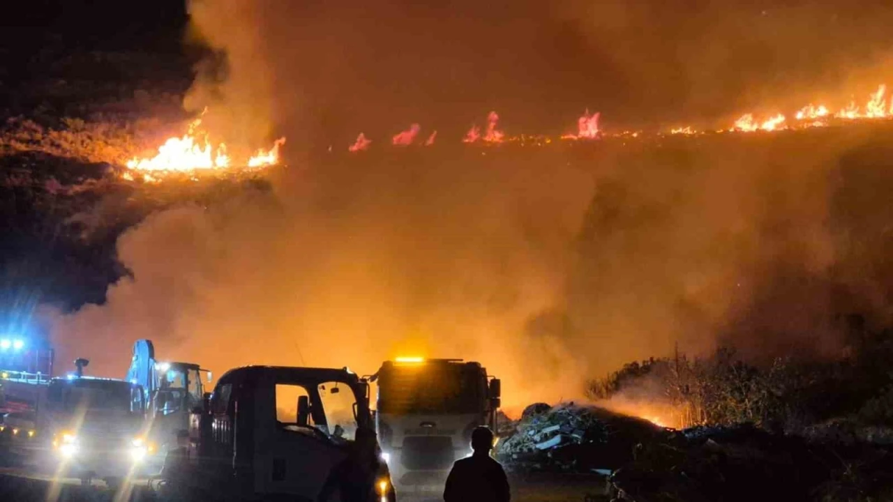 Bodrum&rsquo;da makilik alanda yangın
