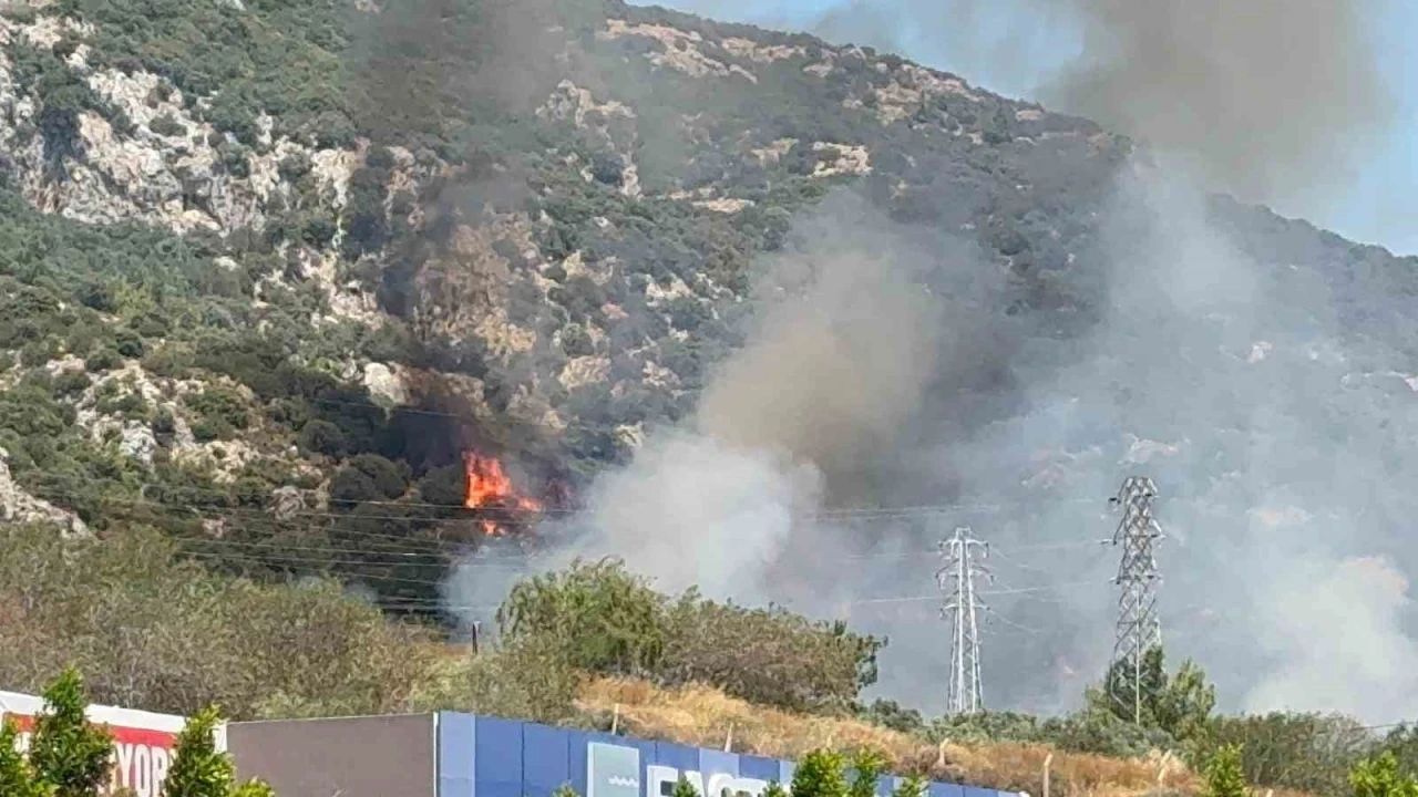 Bodrum'da Makilik Alanda Yangın