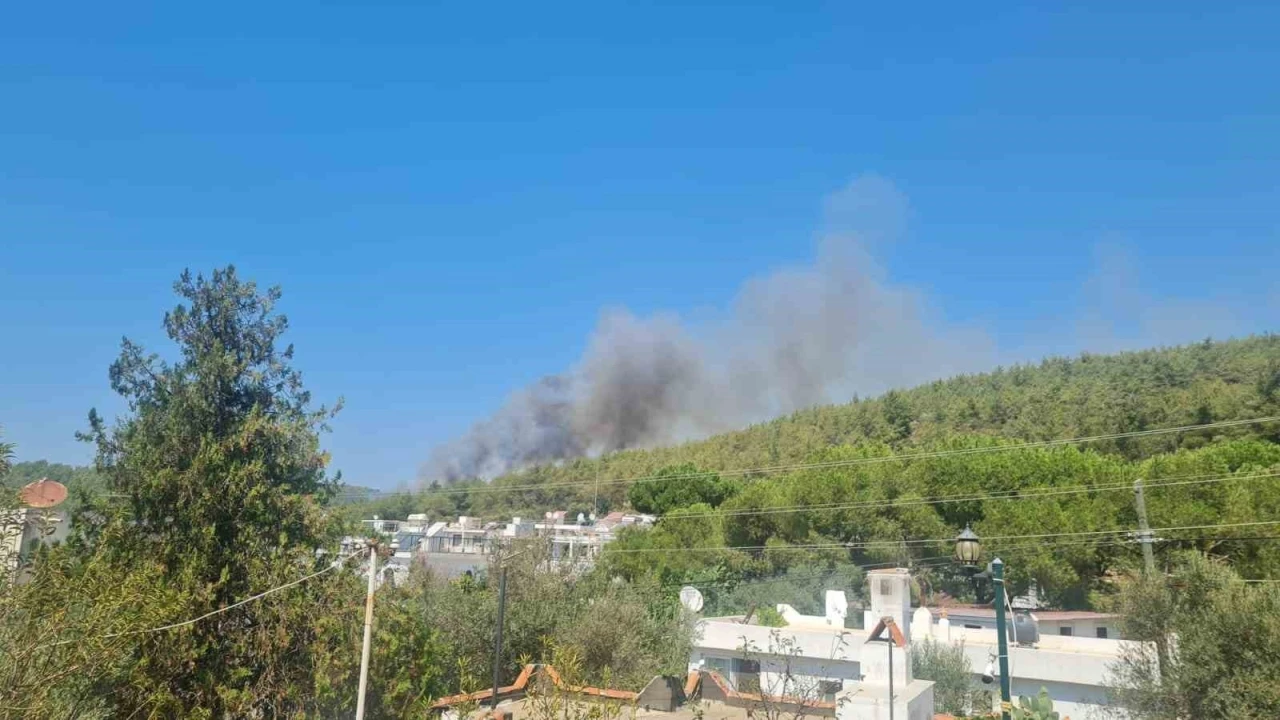 Bodrum’da orman yangını başladı
