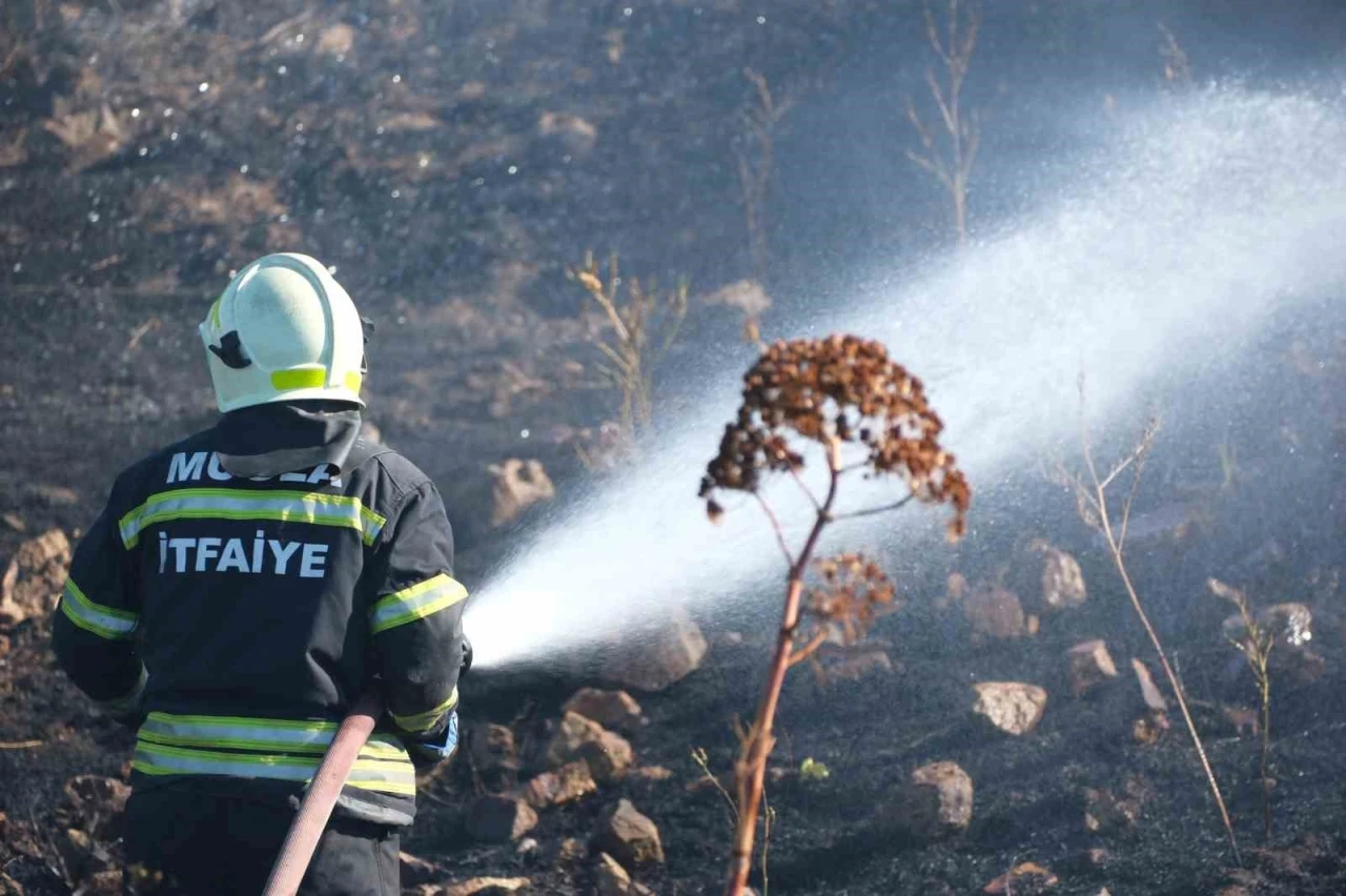 Bodrum’da otluk alanda çıkan yangın 5 dekarlık alanı küle çevirdi
