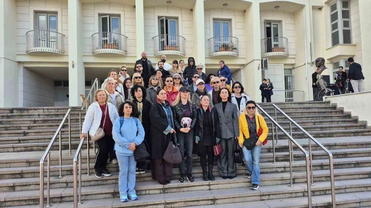 Bodrum&rsquo;da "&Ccedil;inko" isimli k&ouml;peğe &ccedil;arpan s&uuml;r&uuml;c&uuml;n&uuml;n yargılanmasına başlandı
