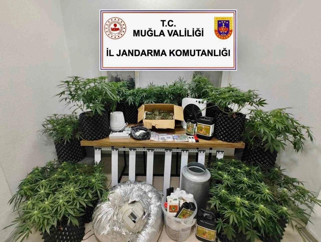Bodrum’da uyuşturucu baskını: 2 gözaltı
