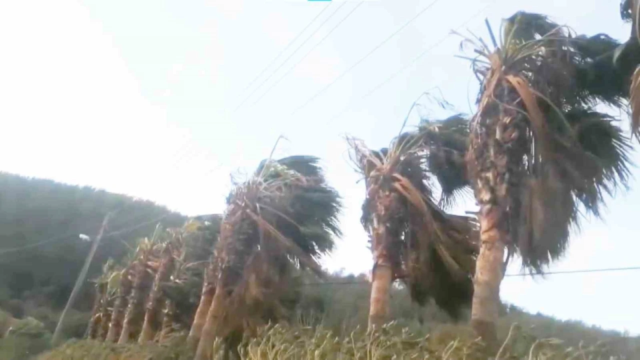 Bodrum, Dat&ccedil;a ve Marmaris kıyılarına fırtına uyarısı
