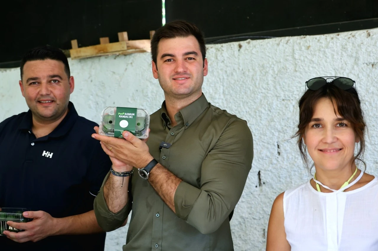 Bodrum Mandalini Erken Hasatla Sofralara Geliyor