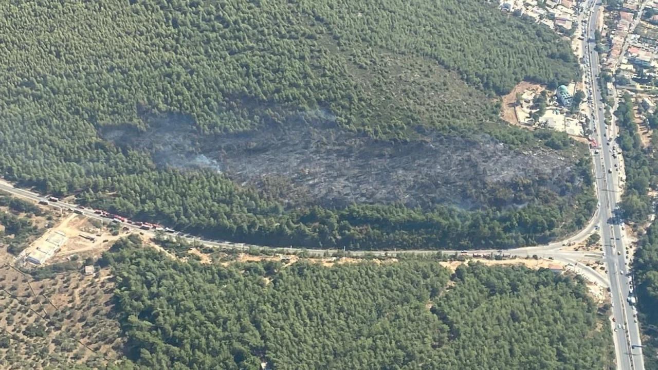 Bodrum orman yangını kontrol altına alındı