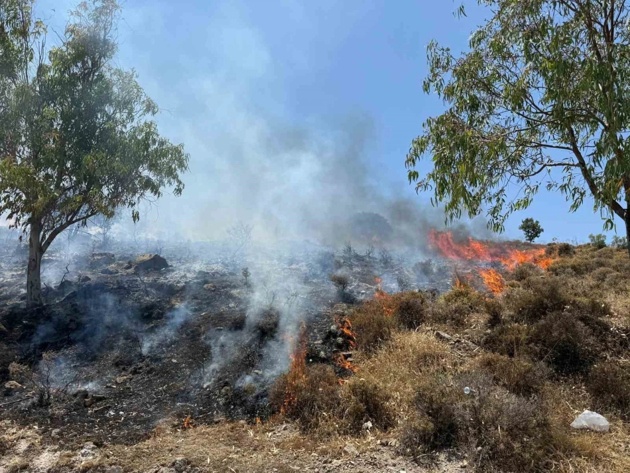 Bodrum Türkbükü’nde makilik yangını

