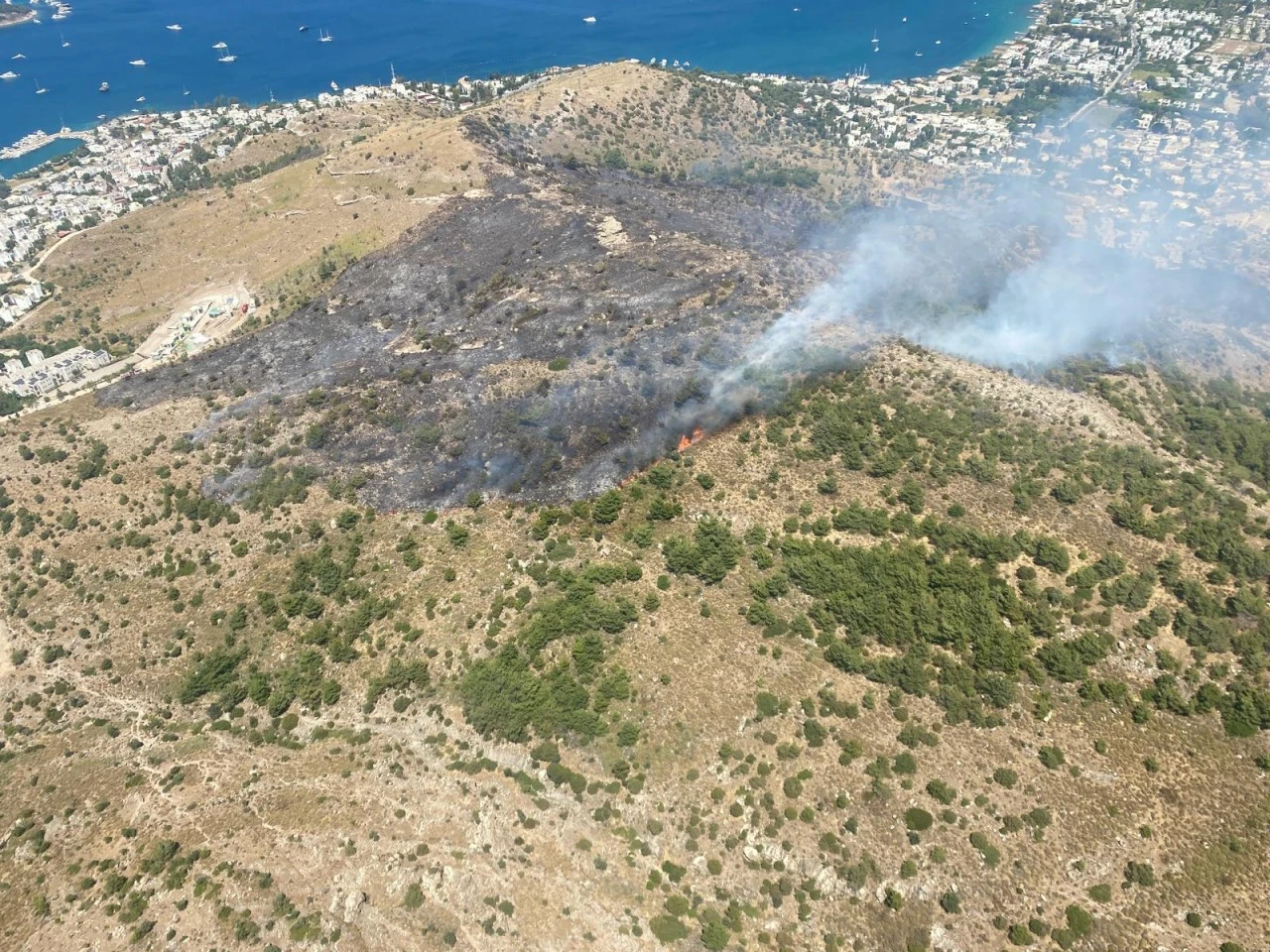 Bodrum Türkbükü'nde Yangın Kontrol Altında