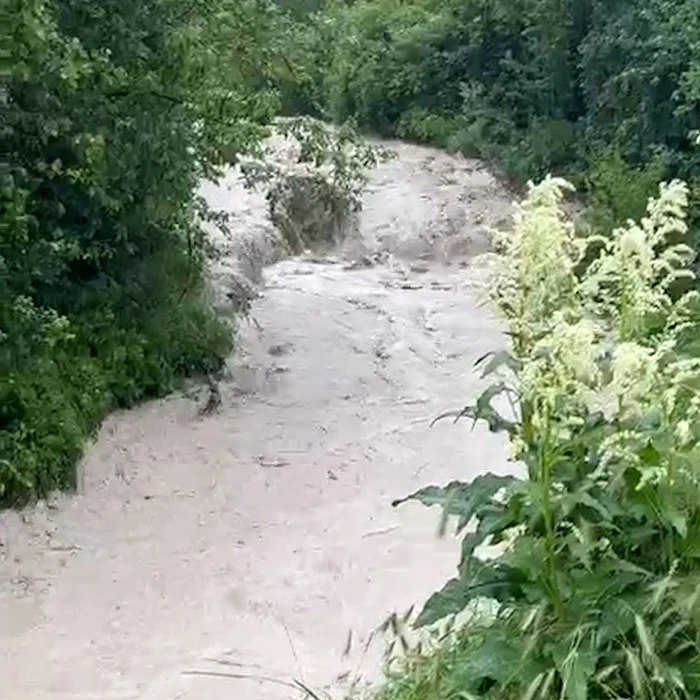 Bolu&rsquo;da dereler taştı, tarım arazileri sular altında kaldı
