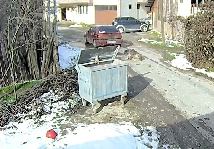 Bolu&rsquo;da ezilen k&ouml;peğin r&ouml;ntgeninden 400 sa&ccedil;ma &ccedil;ıktı:
