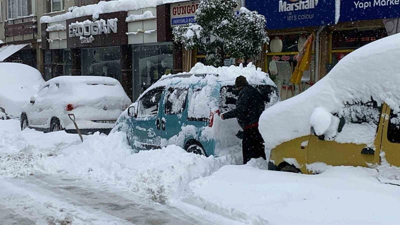 Bolu&rsquo;da kar k&uuml;rekleri &rsquo;yok&rsquo; sattı
