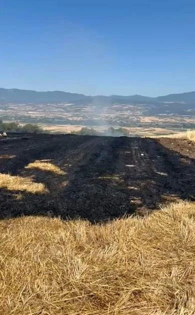 Bolu’da korkutan anız yangını, evlere sıçramadan söndürüldü
