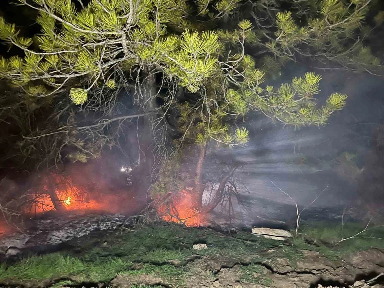 Bolu’da ormanlık alanda yangın çıktı
