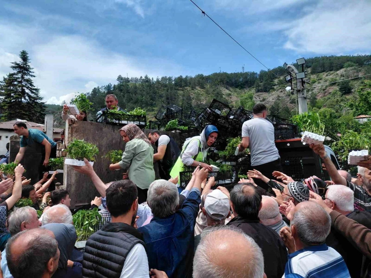 Bolu&rsquo;da &uuml;cretsiz fide dağıtımına yoğun katılım
