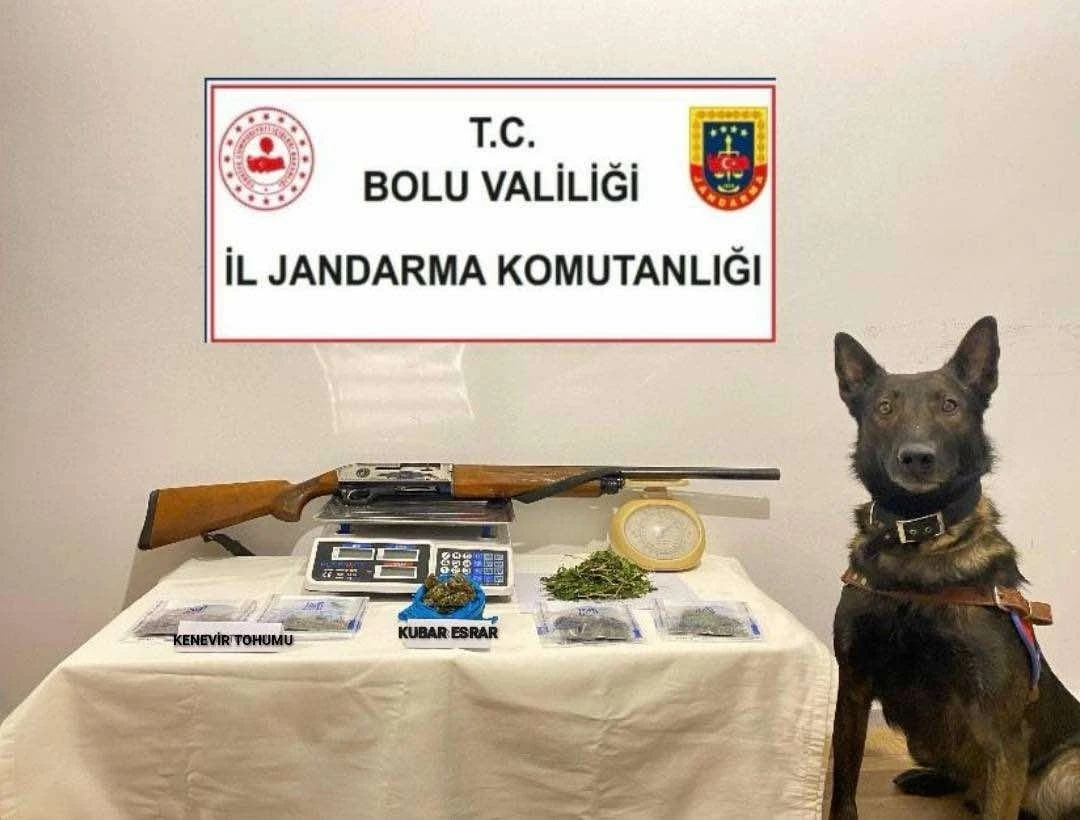 Bolu’da uyuşturucu operasyonu: 1 tutuklama

