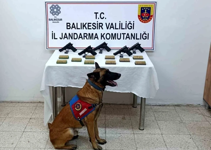 Bomba k&ouml;peği &rsquo;Vaha&rsquo; ka&ccedil;ak silahları buldu
