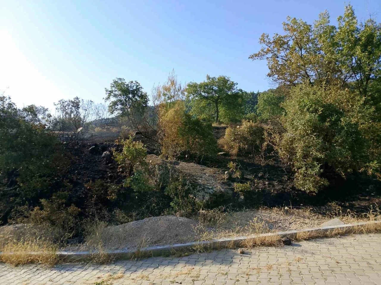 Bostanyeri&rsquo;nde &ouml;rt&uuml; yangınında alevler b&uuml;y&uuml;meden kontrol altına alındı
