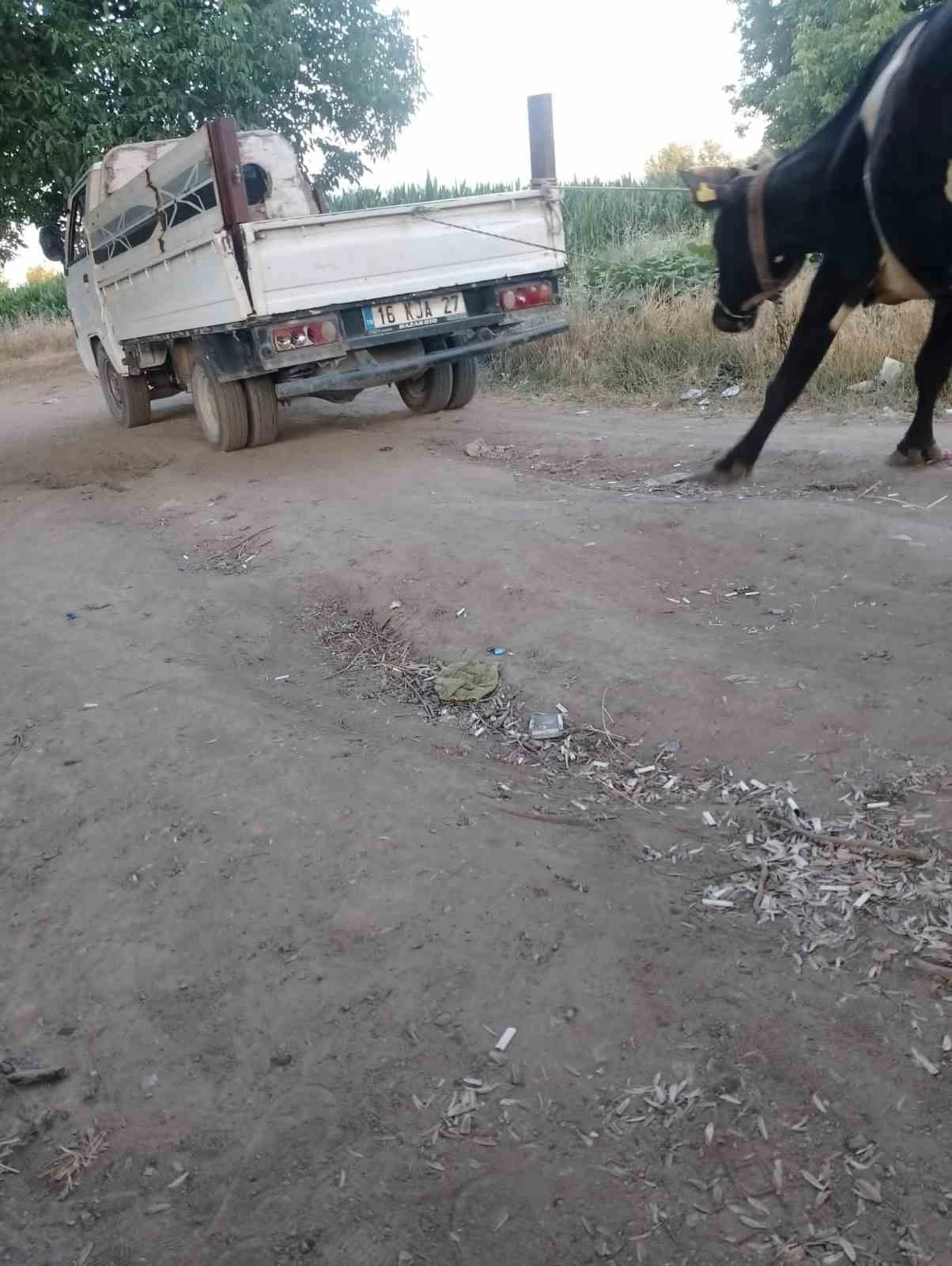 Böyle vicdansızlık görülmedi
