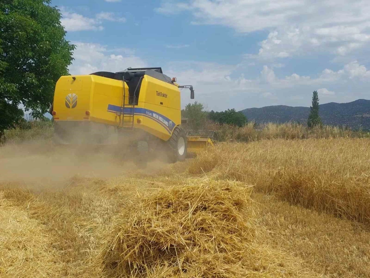 Bozdoğan&rsquo;da bi&ccedil;erd&ouml;verler sıkı denetimde
