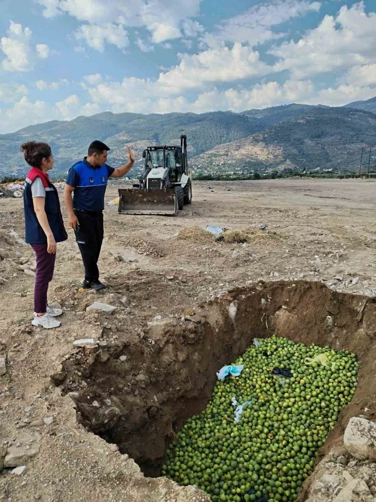 Bozdoğan&rsquo;da hastalıklı ilekler imha edildi
