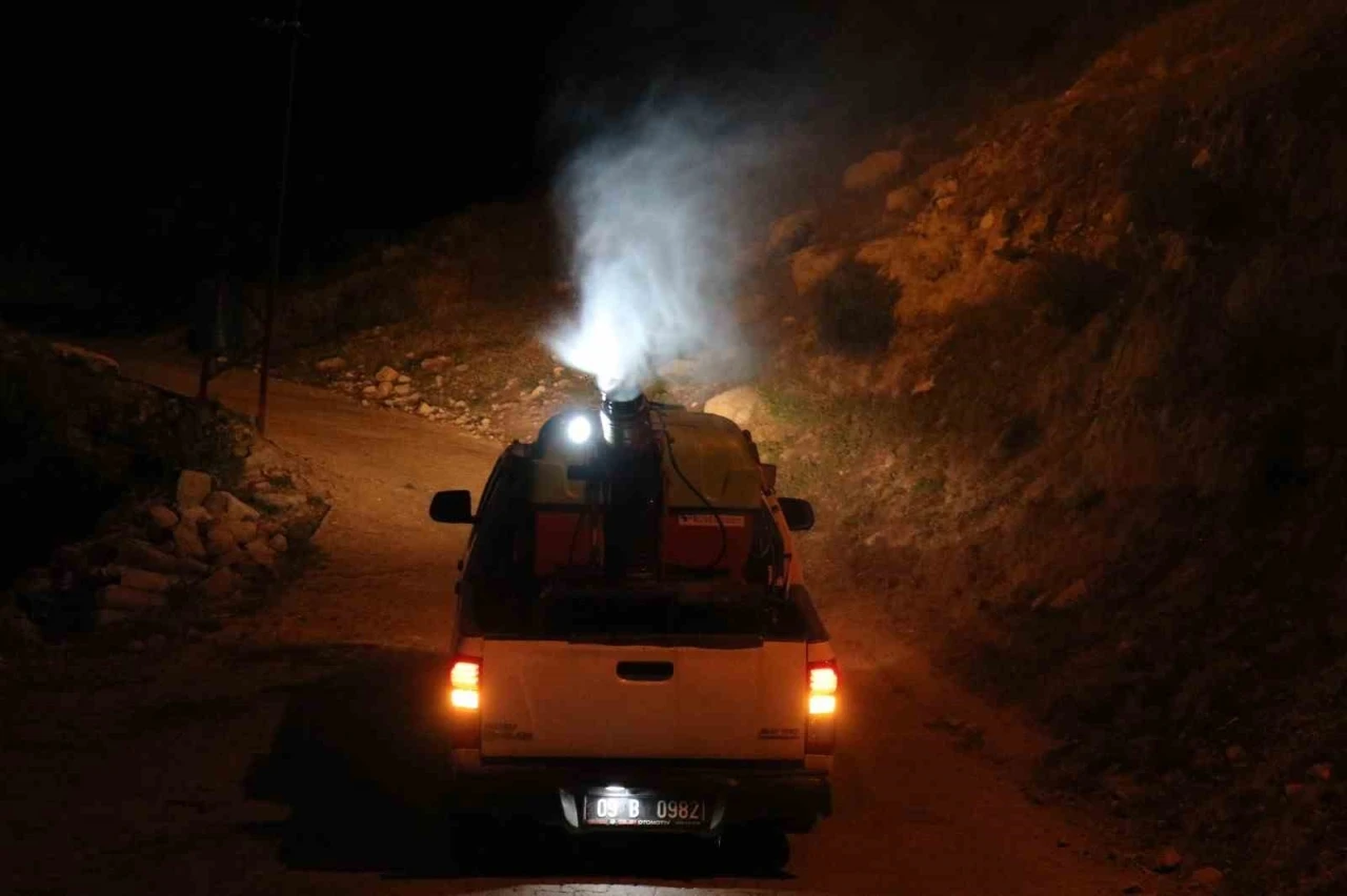 Bozdoğan’da ilaçlama çalışmaları sürüyor
