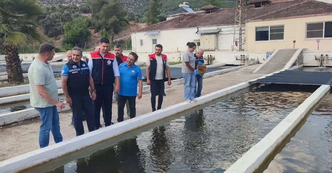 Bozdoğan&rsquo;da su &uuml;r&uuml;nleri &uuml;retimi 3 bin 696 tona ulaştı
