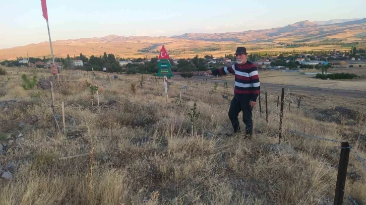 Bozkırı yeşertmek i&ccedil;in ter d&ouml;k&uuml;yor
