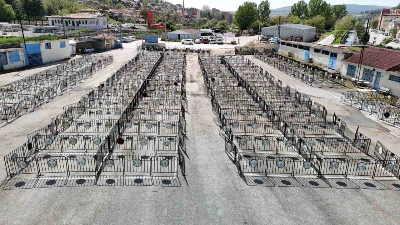 Boz&uuml;y&uuml;k&rsquo;te kurban satış yerleri hazırlandı
