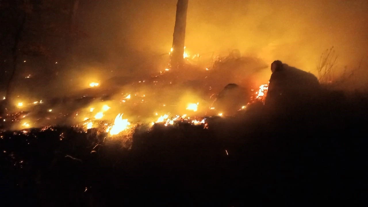 Bozyazı&rsquo;da &ccedil;ıkan orman yangını kontrol altına alındı
