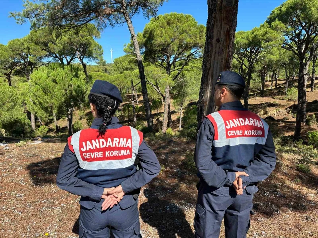 Bu çiçeği koparana 557 bin TL ceza
