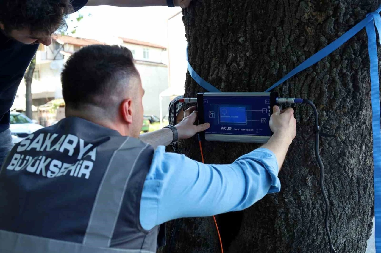 Bu cihaz Sakarya’da yeşil cennetin tomografisini çekecek
