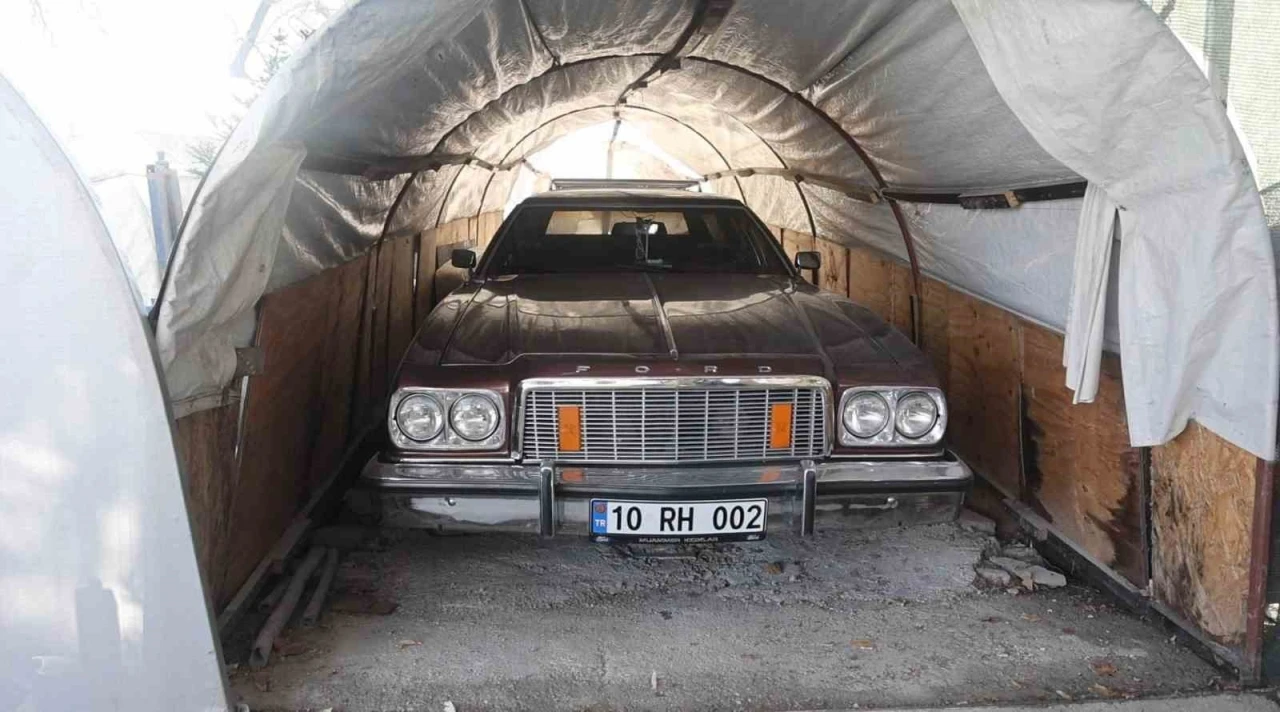 Bu serada sebze değil klasik araba yetişiyor
