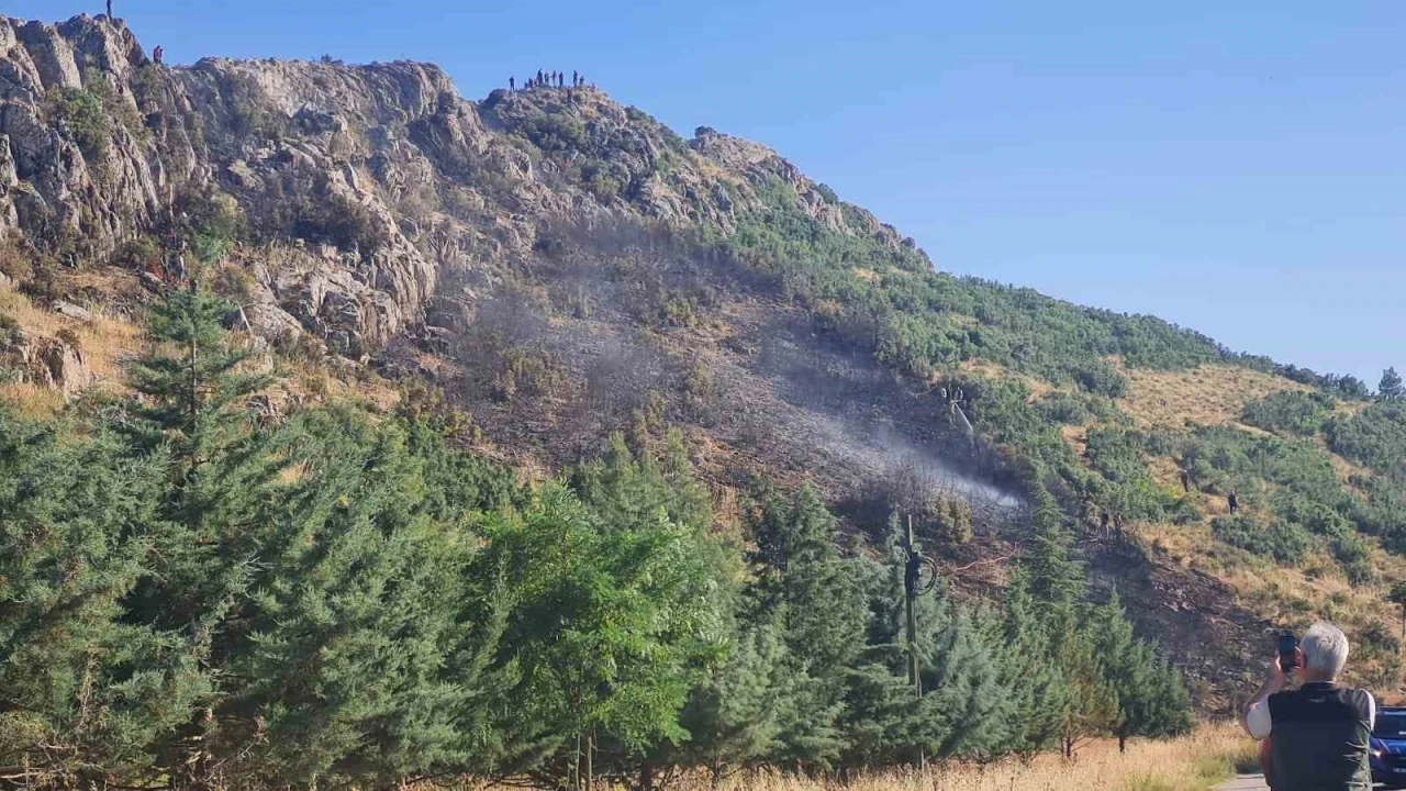 Bucak’taki orman yangını söndürüldü
