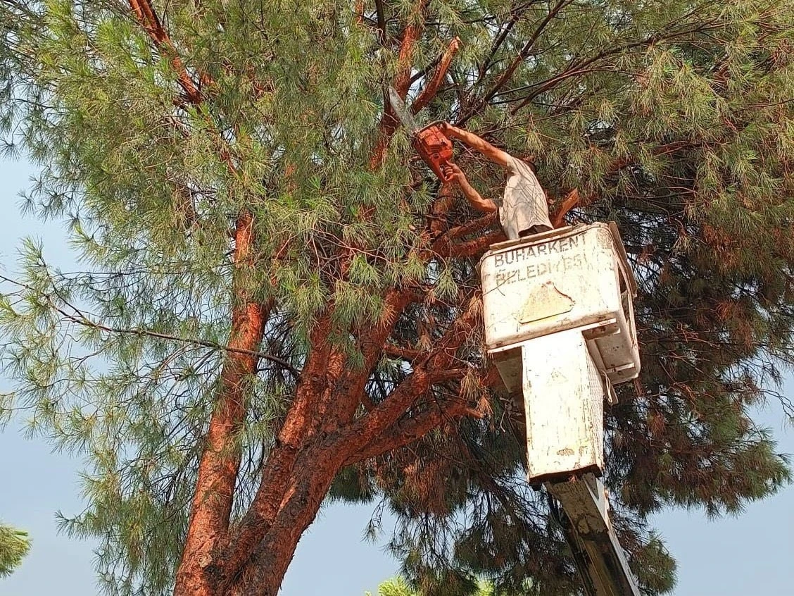 Buharkent Belediyesi’nden anında müdahale
