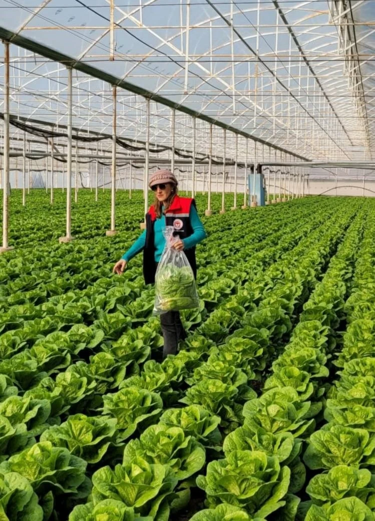 Buharkent&rsquo;te sağlıklı gıda i&ccedil;in pestisit denetimi
