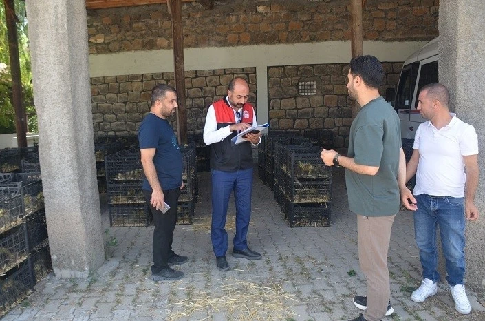 Bulanık’ta &quot;Kaz Yetiştiriciliği&quot; projesi kapsamında kaz palazı dağıtıldı
