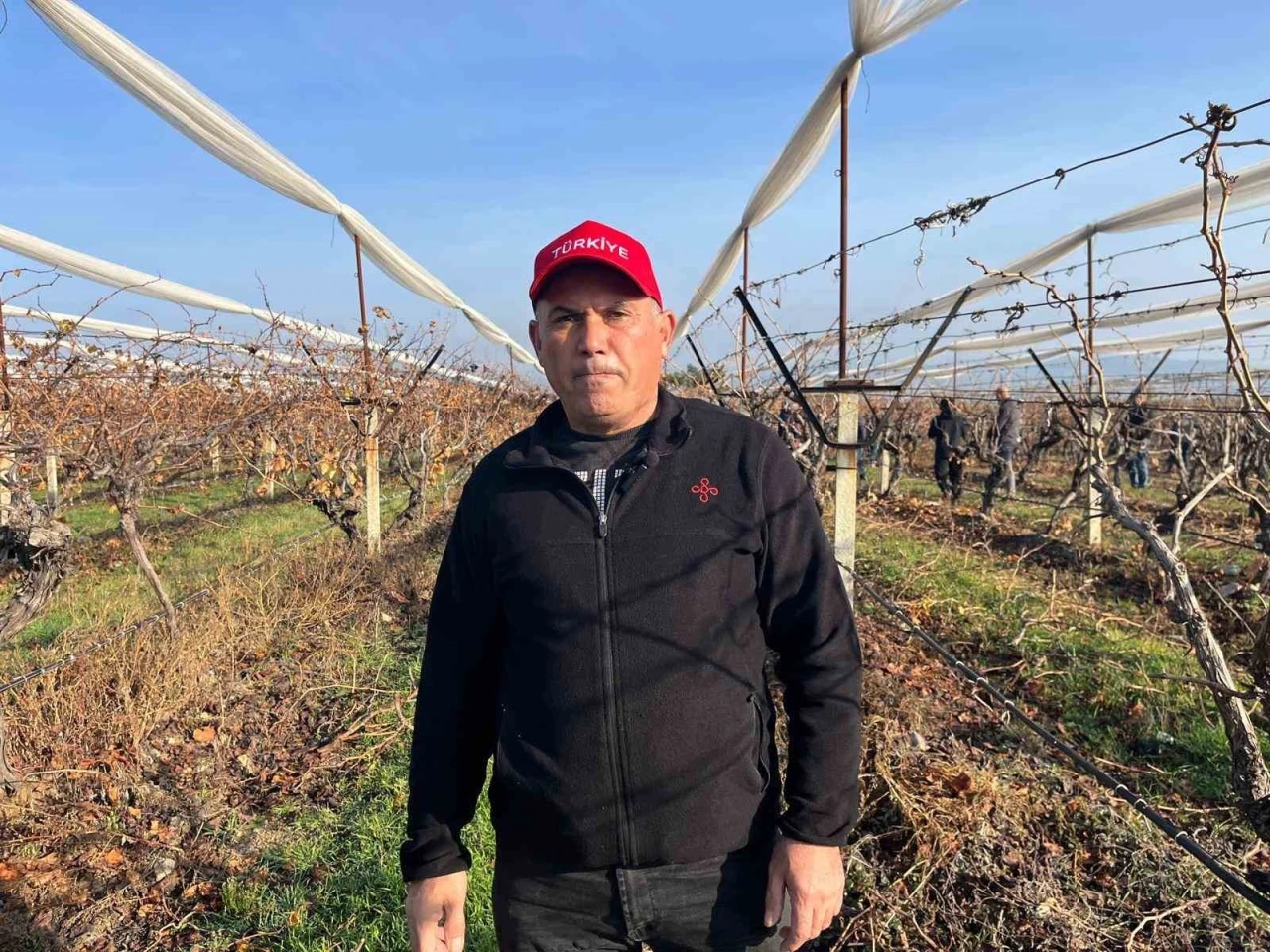 Buldan&rsquo;ın tescilli &uuml;z&uuml;mlerinin yetiştiği asmalar yeni sezona hazırlanıyor
