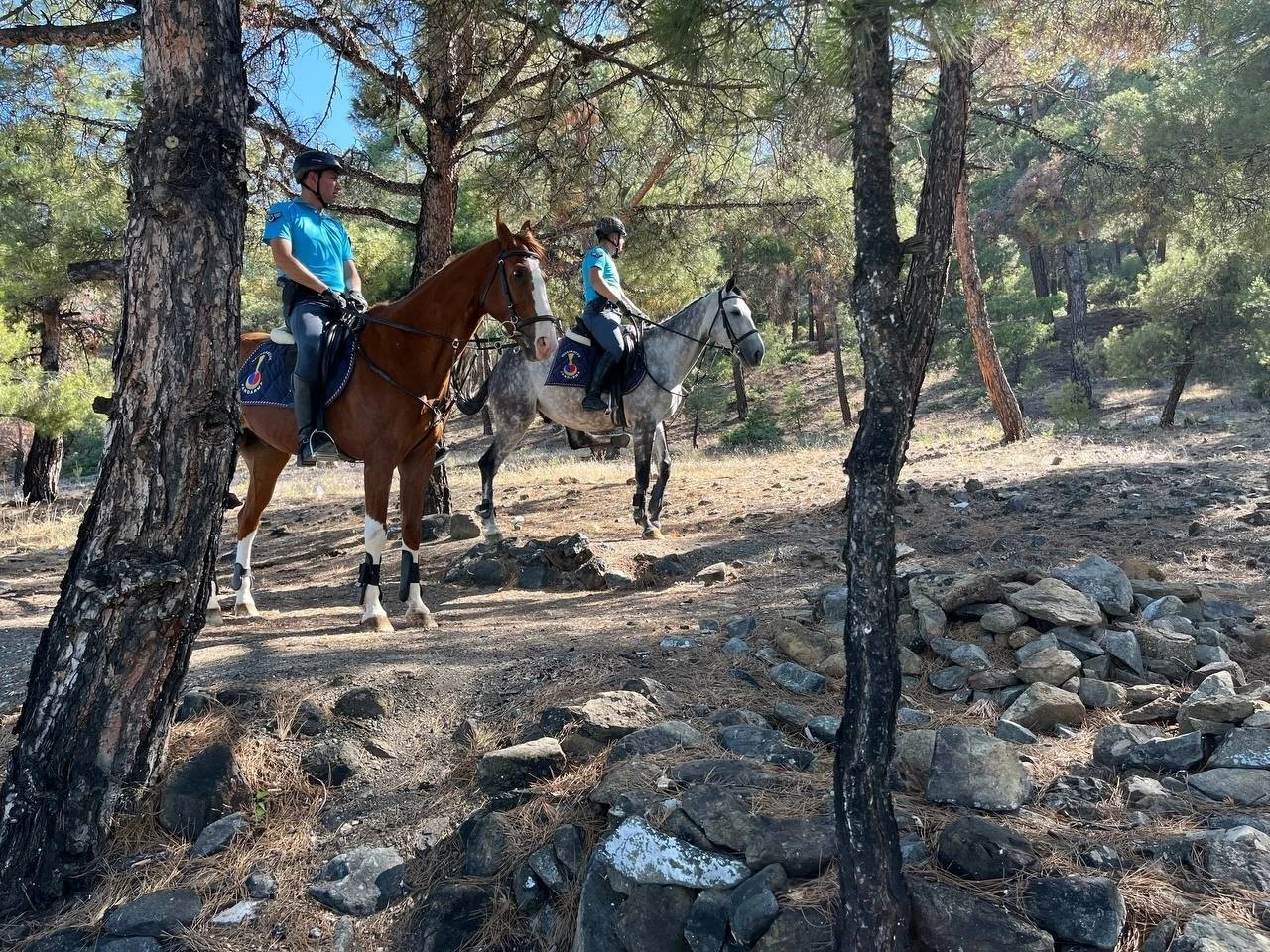 Burdur’da 1 Haziran - 1 Kasım tarihleri arasında ormanlık alanlara girişler yasaklandı

