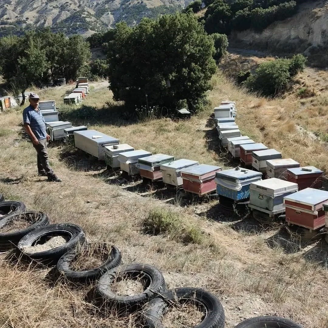 Burdur&rsquo;da arılı kovanlar denetleniyor
