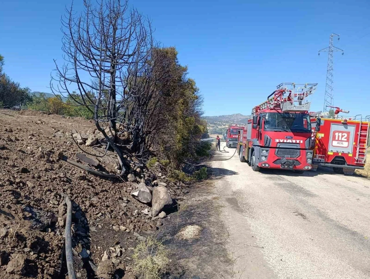 Burdur’da ceviz bahçesi ve 5 dönüm tarım arazisi yandı
